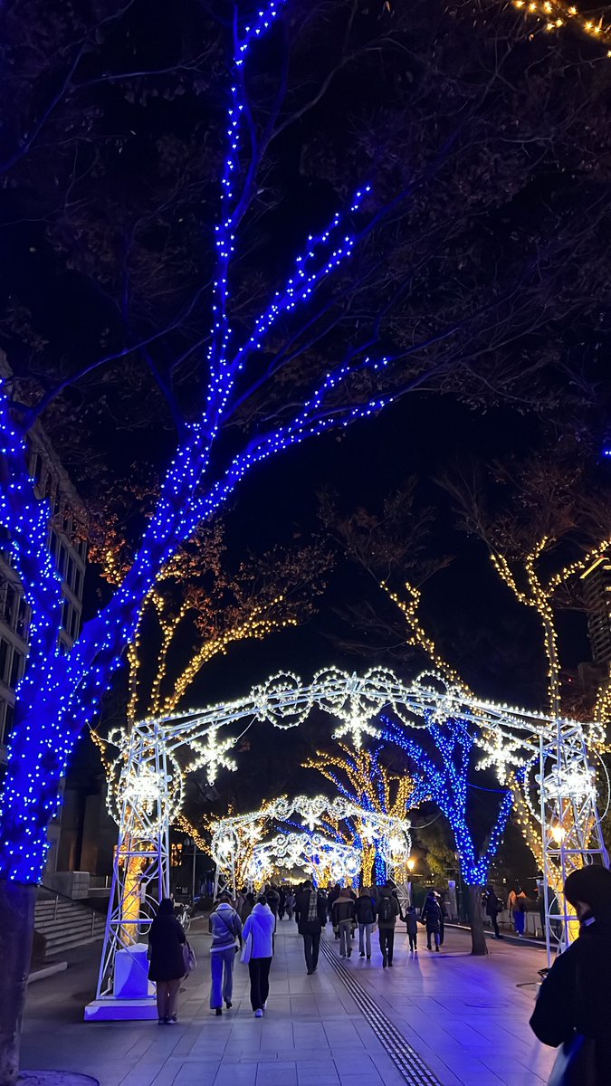 55hxr's tweet photo. Merry Christmas https://t.co/34rQKIv6bW