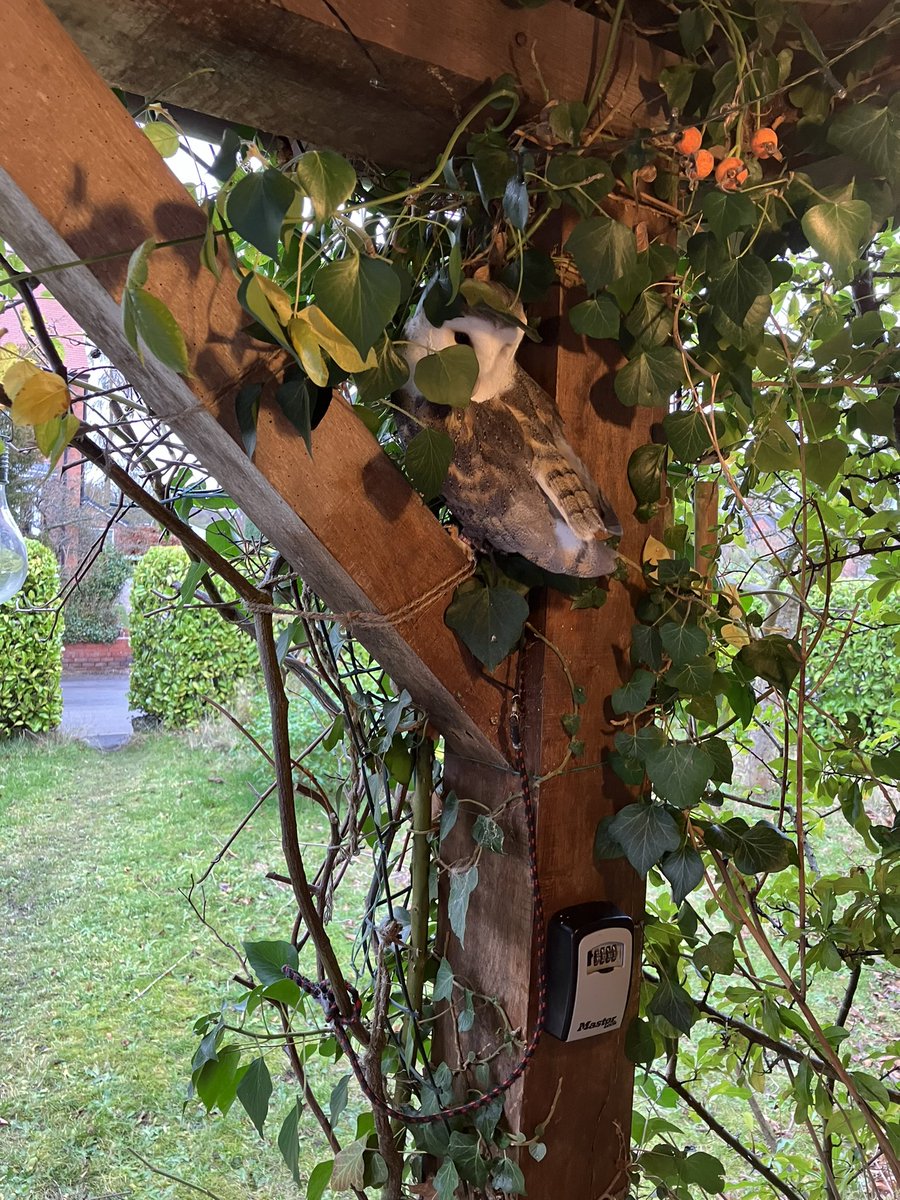 Prof Julian Barratt RN PhD tweet media