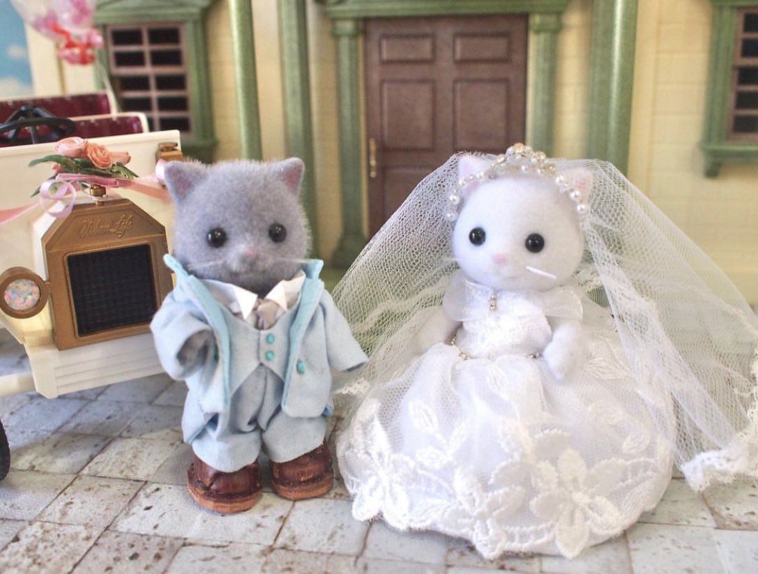 ˖ ꜝ❤︎ kimi 𑣲 ⏦゚ tweet media