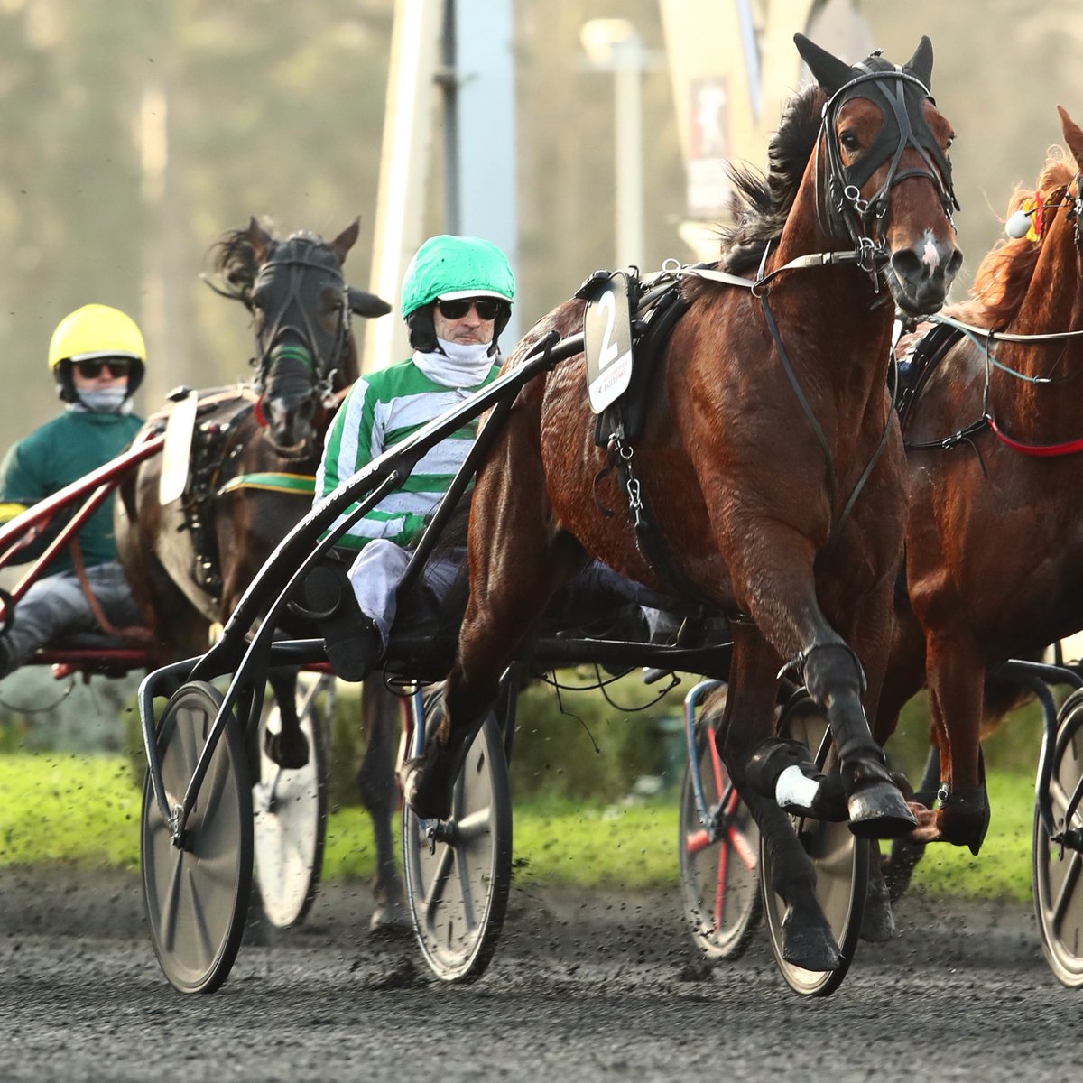 𝗕𝗼𝗹𝗱 𝗘𝗮𝗴𝗹𝗲 ⚡️ 𝗝𝘂𝘀𝗵𝘂𝗮 𝗧𝗿𝗲𝗲 , tel père tel fils ! 

Les voilà réunis au palmarès du Critérium Continental - Amérique Races PMU Q3
