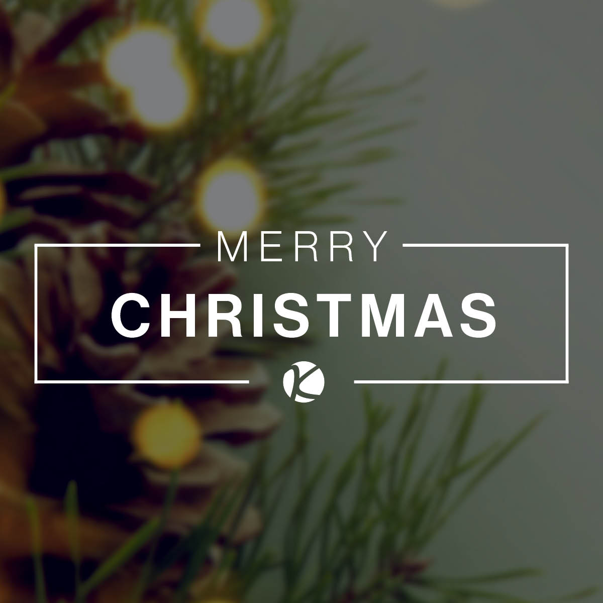 Merry Christmas from the entire Kacmarcik Enterprises family of companies 🌟