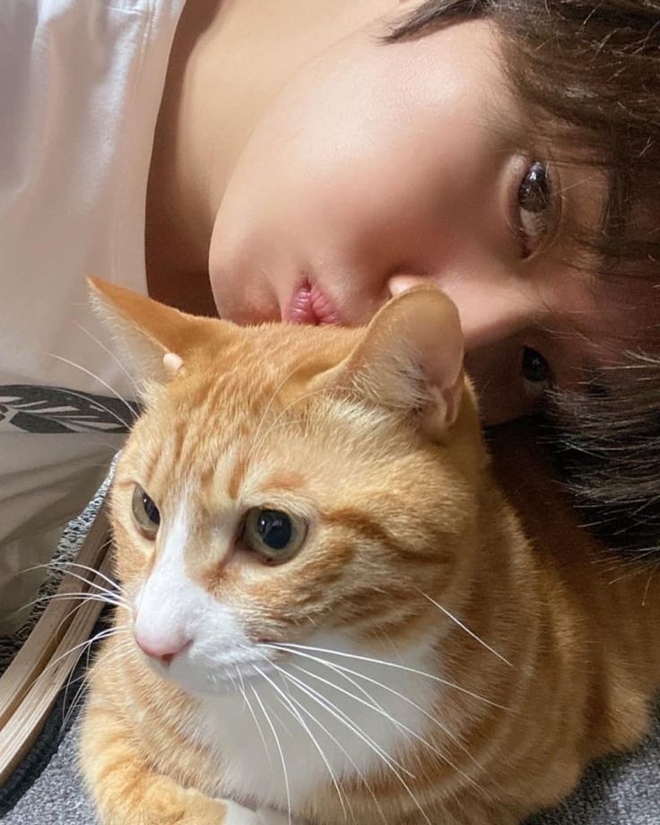kucing tweet media
