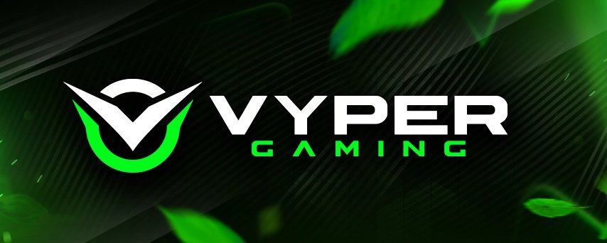 Vyper Gaming tweet media