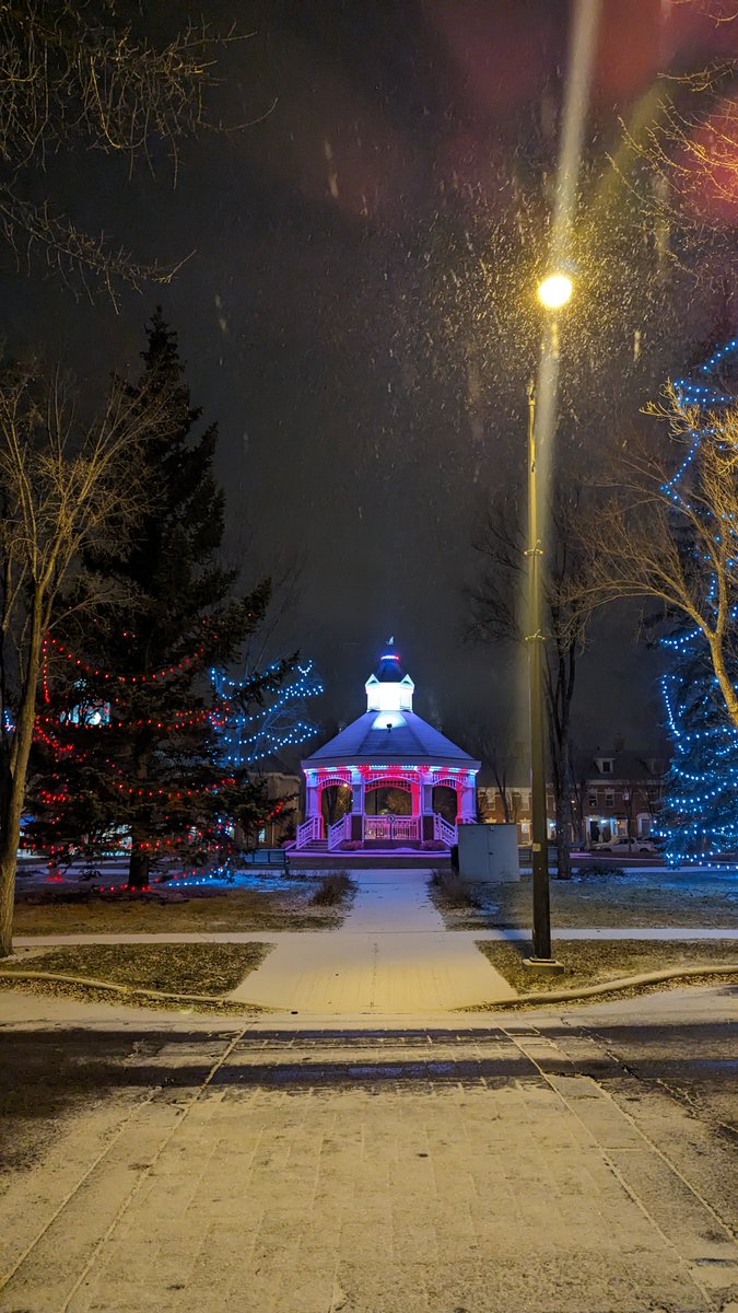 McKenzie Towne Council tweet media