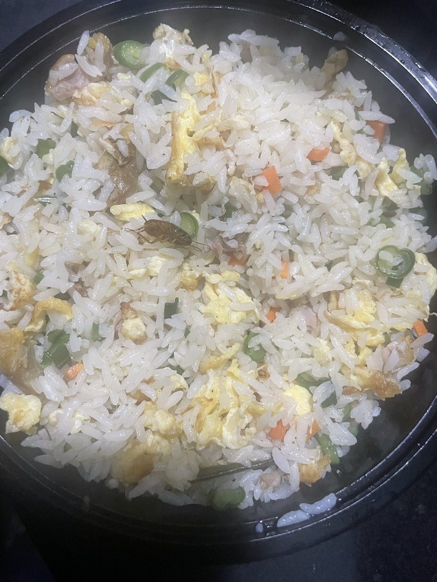 prabir7327's tweet photo. @zomato Cockroach found in the food from Imperial Restaurant Jayanagar Bangalore 
@fssaiindia @gokfoodsecy @ANI @TOIIndiaNews @The_Infallible_  #foodsafety #zomato https://t.co/HRy549bbUz