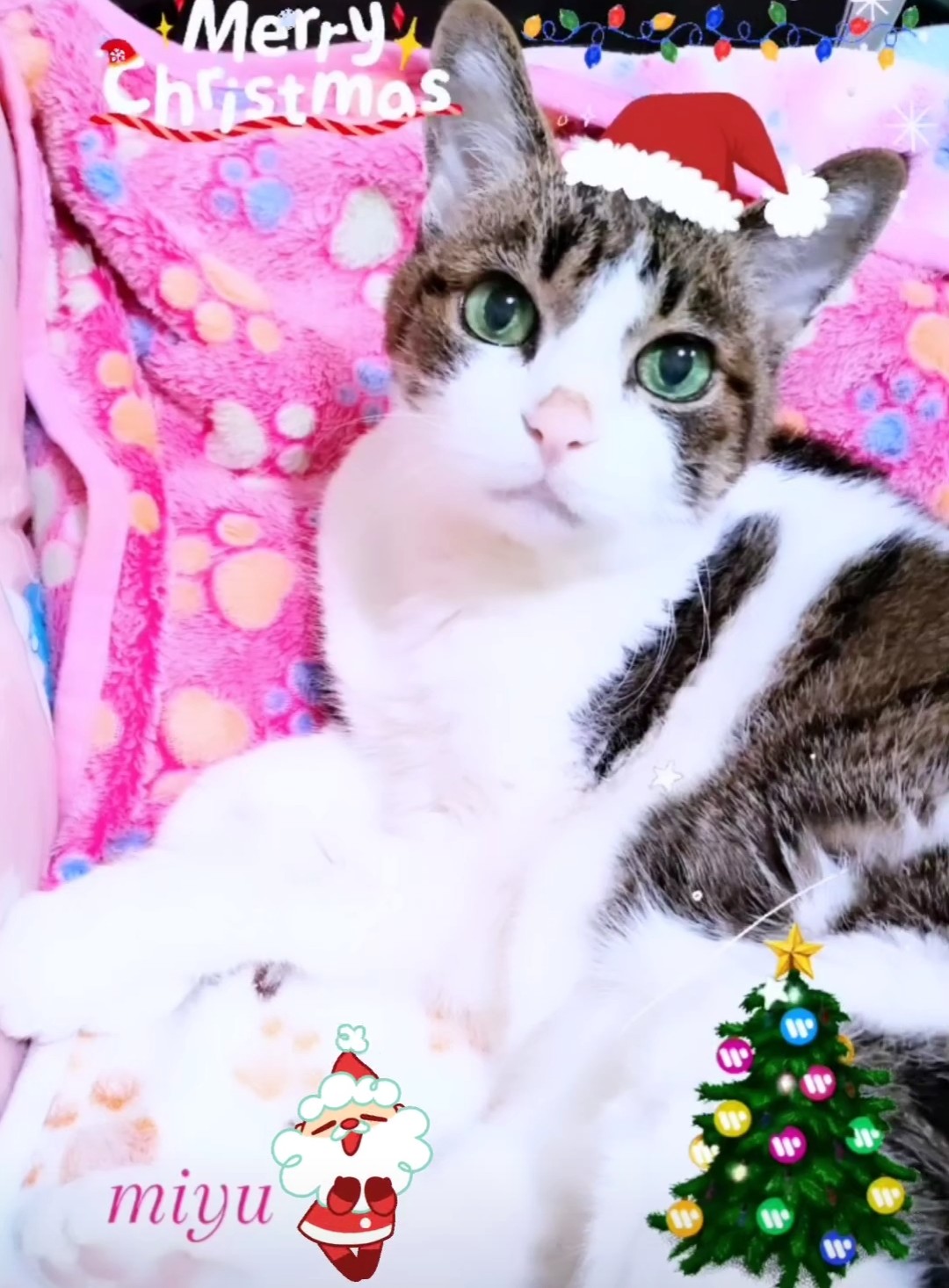 MIYUです。 miyu♡8728 (@miyu8728414) / X