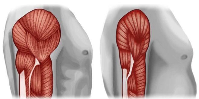 CoachJuuan's tweet photo. Poca masa muscular significa una vida más corta y menos saludable.

Aquí tienes todos mis consejos para GANAR MÚSCULO como una máquina.

1) Deja de beber alcohol. https://t.co/LvvvR7h9nx