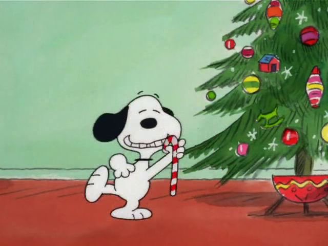 snoopyfanbase's tweet photo. merry christmas eve everybody <3 https://t.co/TWP95bBP1Z