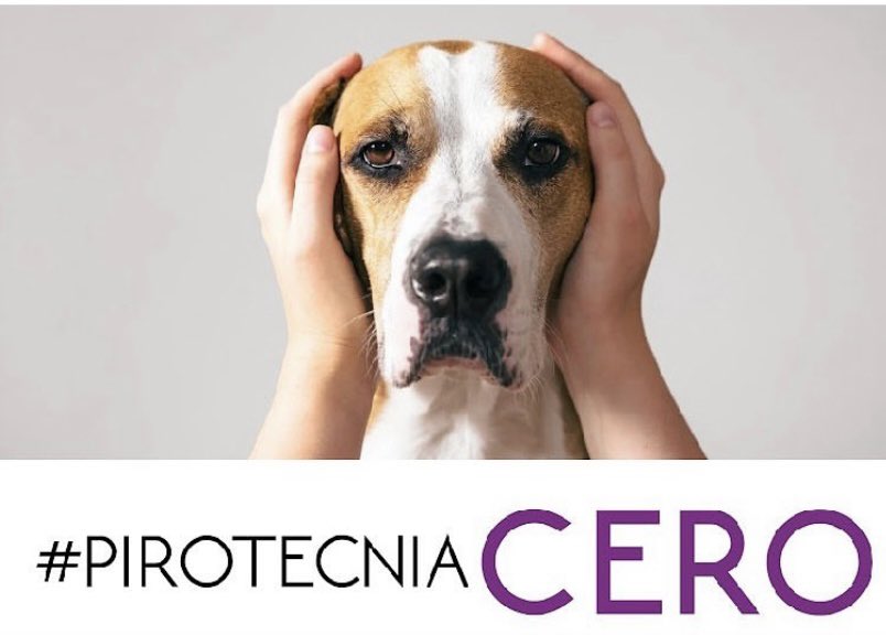 UN AÑO MÁS : #PIROTECNIACERO

. Comparte este mensaje entre tus amigos y conocidos. Por todos los animales que hoy a la noche sentirán terror y tratarán de escapar, algunos quedarán atascados en rejas o se caerán de balcones. Otros quedarán perdidos. Eso es la pirotecnia