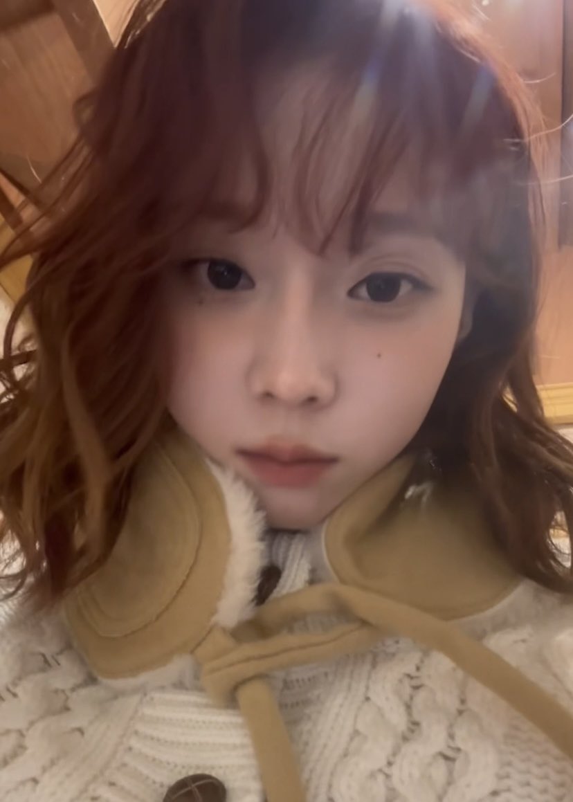 🐶🤎