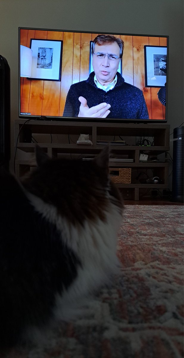 always_inspires's tweet image. My cat is always attentive to #Moeed while we watch his vlogs. Seems she has high stakes in #Pakistan.
 🐱
@MoeedNj