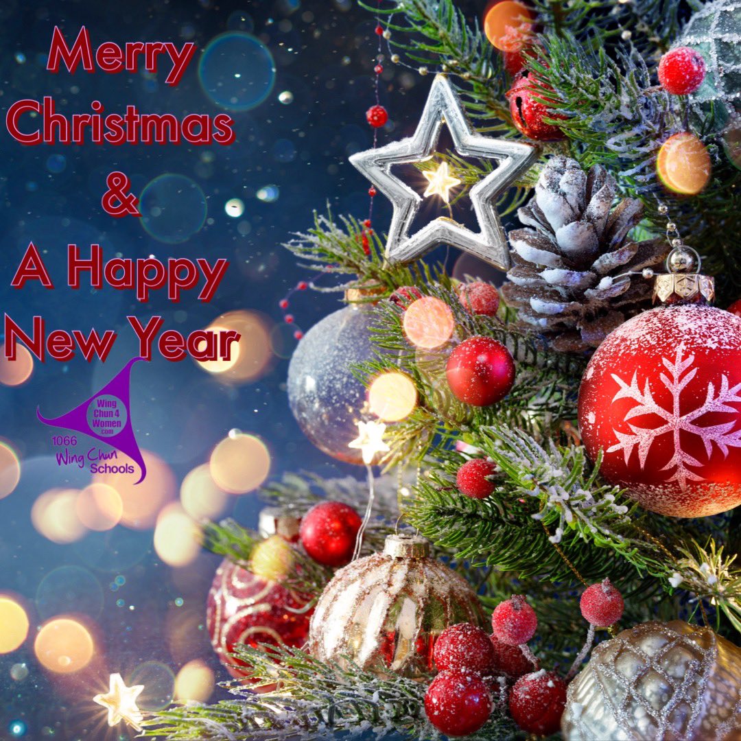 To our all students have a wonderful Christmas and we look forward to seeing you in the New Year! 

#wingchun4women #wingchun #kungfu #selfprotection #martialarts #wasp #female #femaleinstructor  #women #confidence
