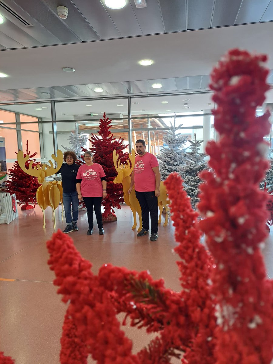 Le centre hospitalier de Rodez a revêtu son costume de Noël! Décor féérique dans le hall du @CHRodez grâce à l'association @TLMCofficiel et son partenaire. Merci à eux !
