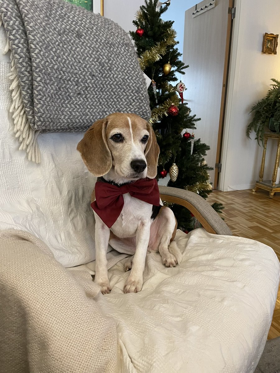 Merry Christmas 🎁🎄