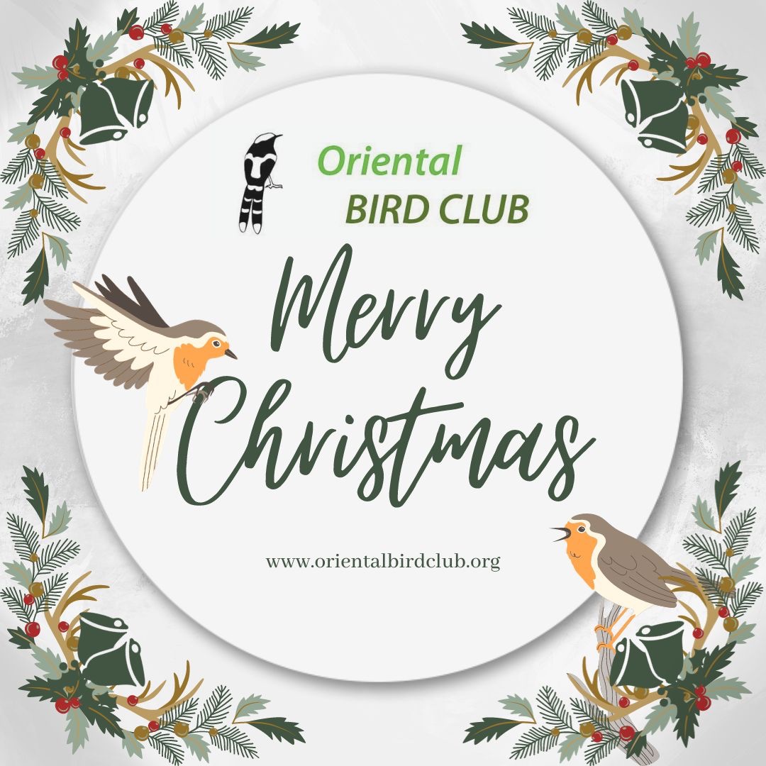 Happy holiday from Oriental Bird Club! 🎄☃️ We hope you enjoy this time with your loved ones and have a wonderful & birdy season!🦜🦢🦆🦉🦅🐦