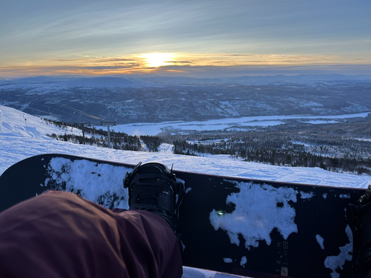 DoggoShayed's tweet image. ❄️ My therapy ~🏂