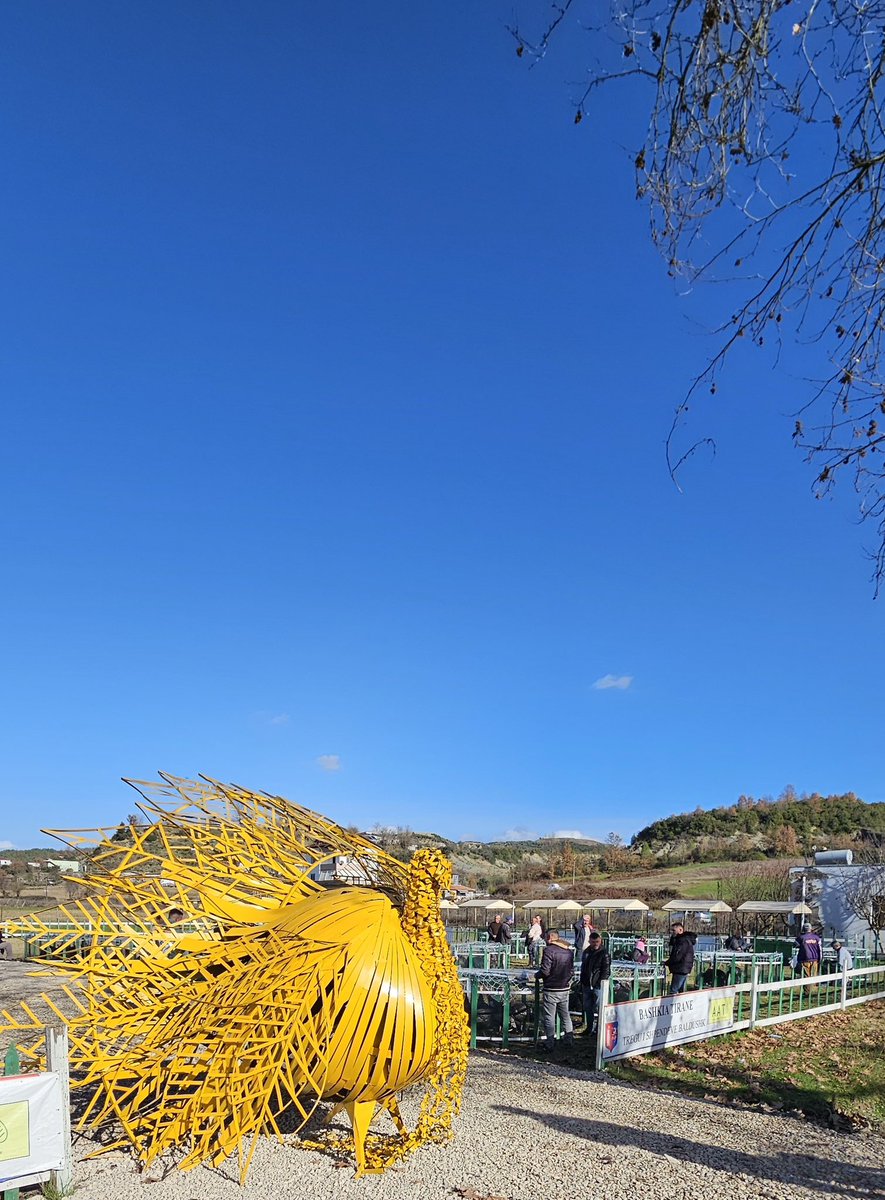 Në këtë të dielë pushimi ☀️, në prag të vigjiljeve të Krishtlindjeve🎄, ju ftojmë që së bashku me familjet tuaja të vizitoni Tregun e Gjelave🦃 , në Baldushk

#ejaedhetinëbaldushk
#treguplotmegjela
#aat
#bashkiariranë