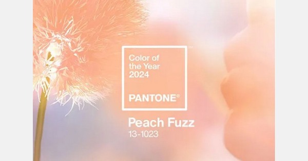 Garden Media Group highlights plants in 2024’s new hue <a href="/gardenmedia/">Garden Media Group</a> 
floraldaily.com/article/958833…