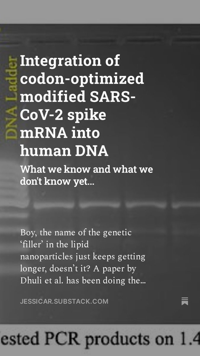 JesslovesMJK's tweet photo. Integration of codon-optimized modified SARS-CoV-2 spike mRNA into human DNA: what we know and what we don't know yet. @ichudov @Jikkyleaks @Kevin_McKernan  @chrismartenson @BretWeinstein @FreeWCH https://t.co/oEKOXmSZri