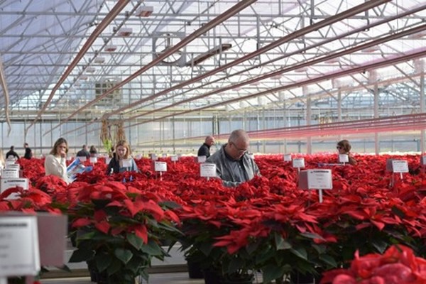 2023 is coming to an end
floraldaily.com/article/958828…