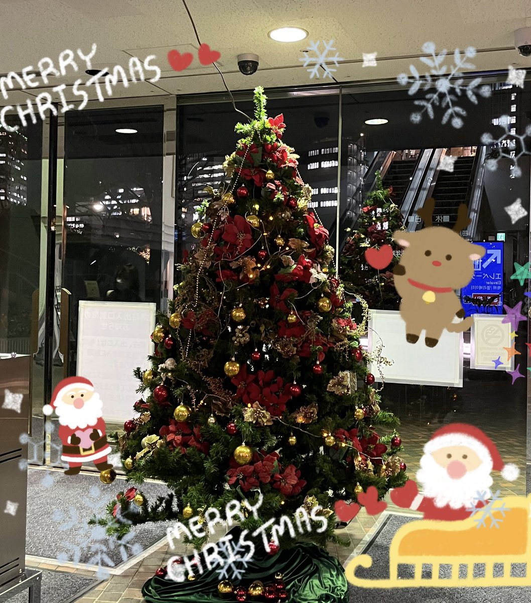 メリークリスマス🎄⭐️
みなさん素敵なクリスマスをお過ごし下さい☺️🍗🎉

今年最後の病院が終わったよー🏥