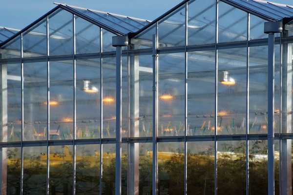 CAN (AB): SHS community greenhouse received $20,000 in funding
floraldaily.com/article/958746…