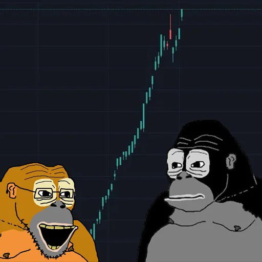 Wonke Wonke tweet media