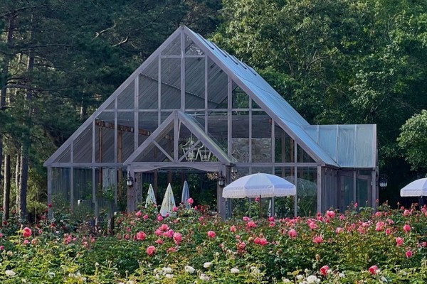 US (TX): With help from expert growers and "YouTube university," a family gives up the city life to open a rose farm
floraldaily.com/article/958835…
