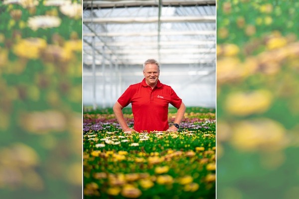 Köder Gartenbau introduces new Osteospermum series PopEyes
floraldaily.com/article/958834…