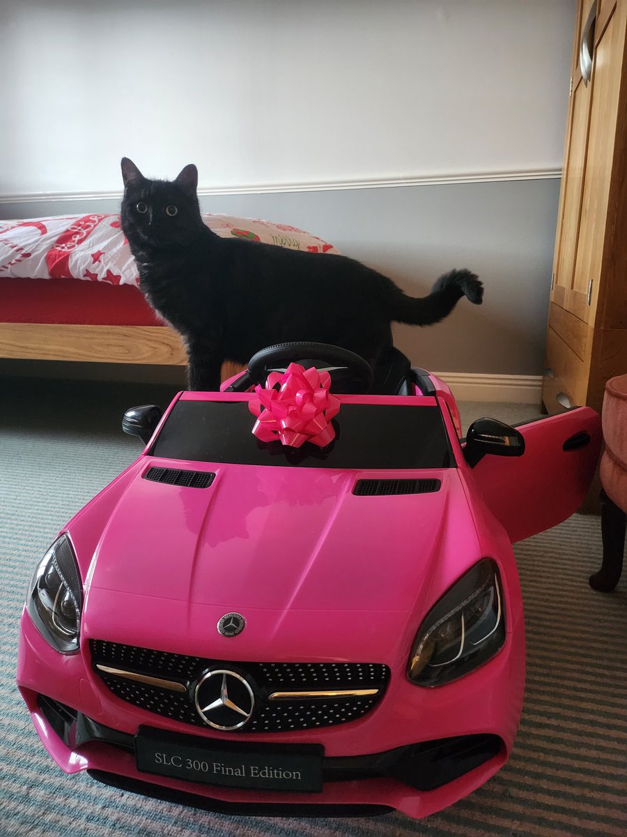 Primrose tweet media