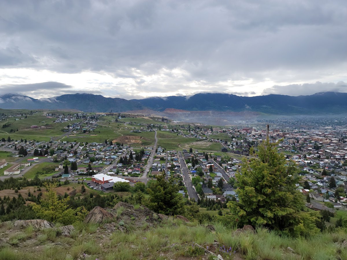 Random Public Park 🏞️ tweet media