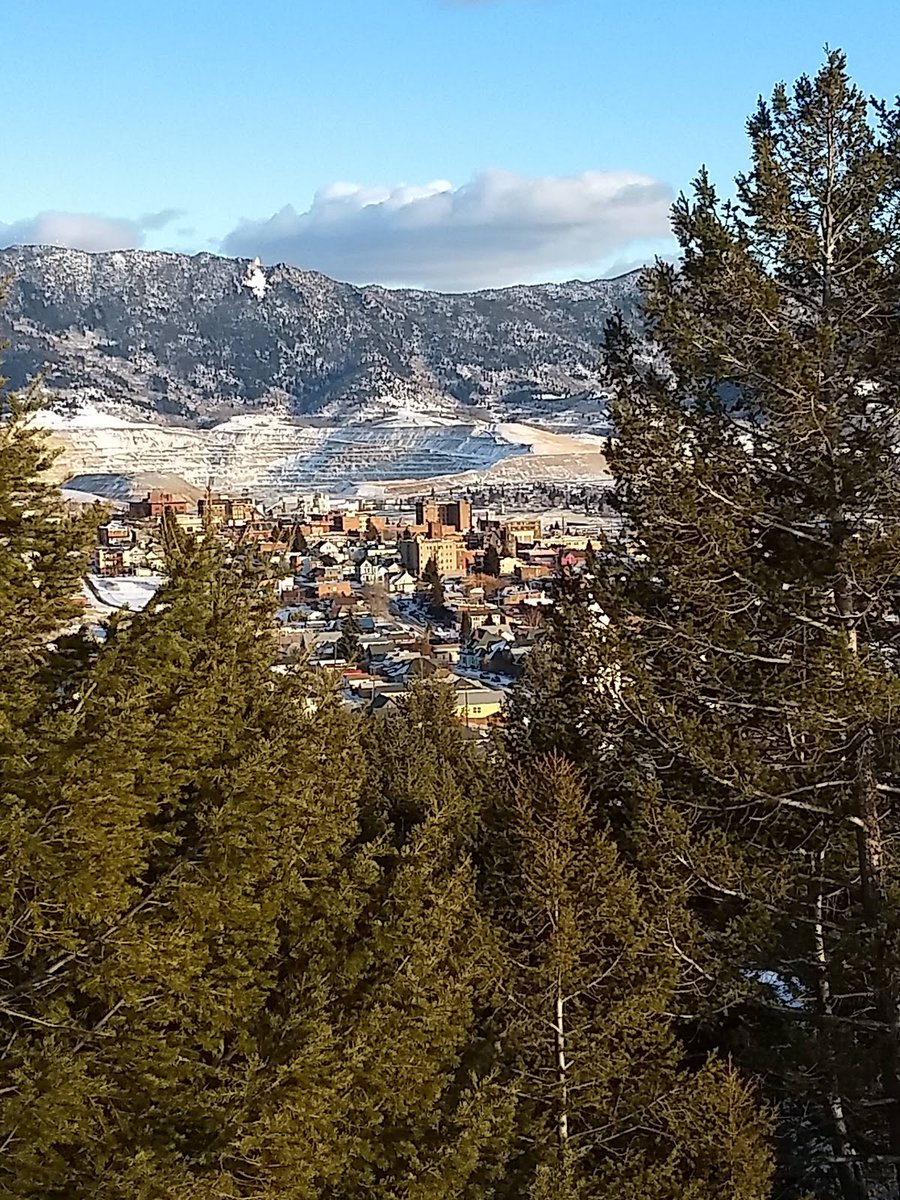 Random Public Park 🏞️ tweet media