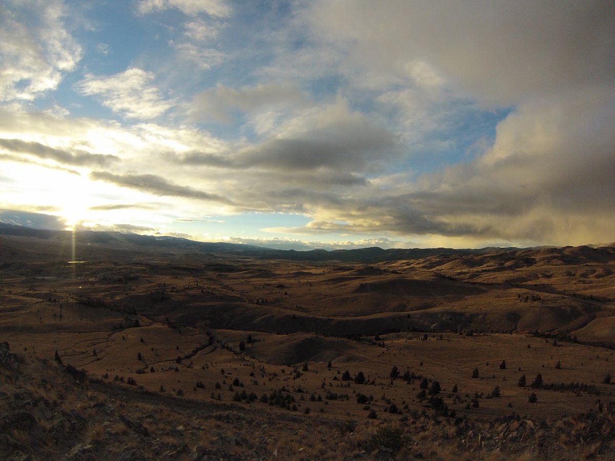 Random Public Park 🏞️ tweet media