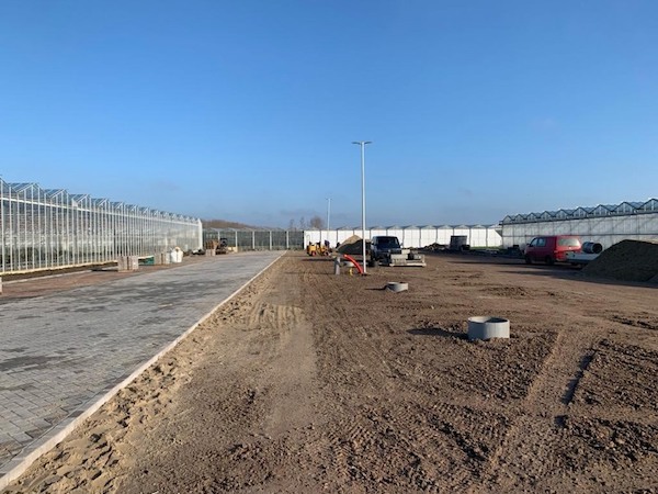 Netherlands: Greenhouses make way for parking space
floraldaily.com/article/958800…