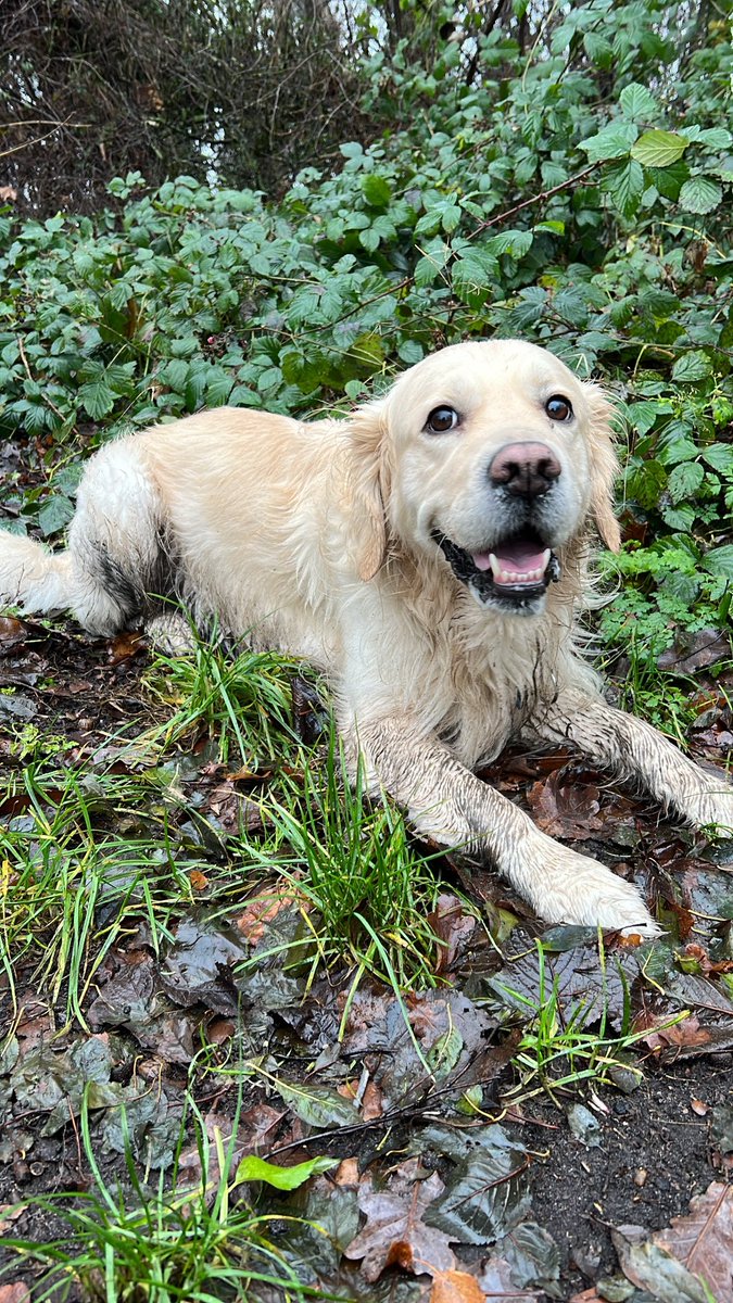 As long as he’s happy I guess 🐶💦
