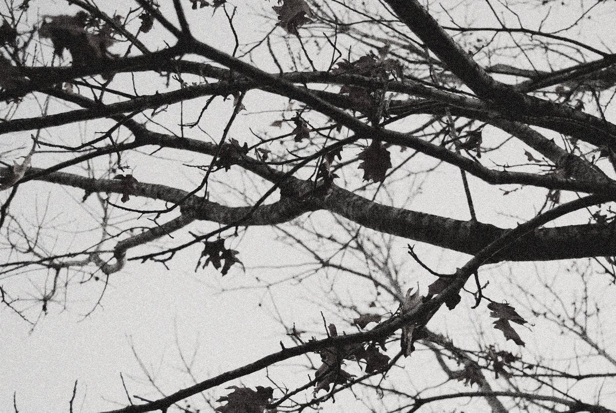 jenoluvr69_'s tweet image. nct dream mini au

— witches and familiars ✨
(with some added chaos)