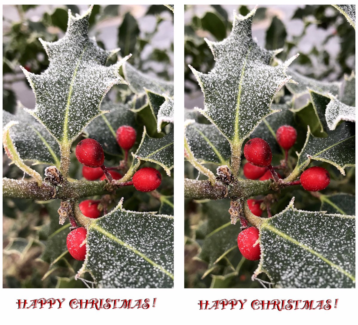 Happy Christmas everyone!
Or should that be “Happy Cross(eye)mas”? 🎄
<a href="/stereoscopicsoc/">The Stereoscopic Society</a>