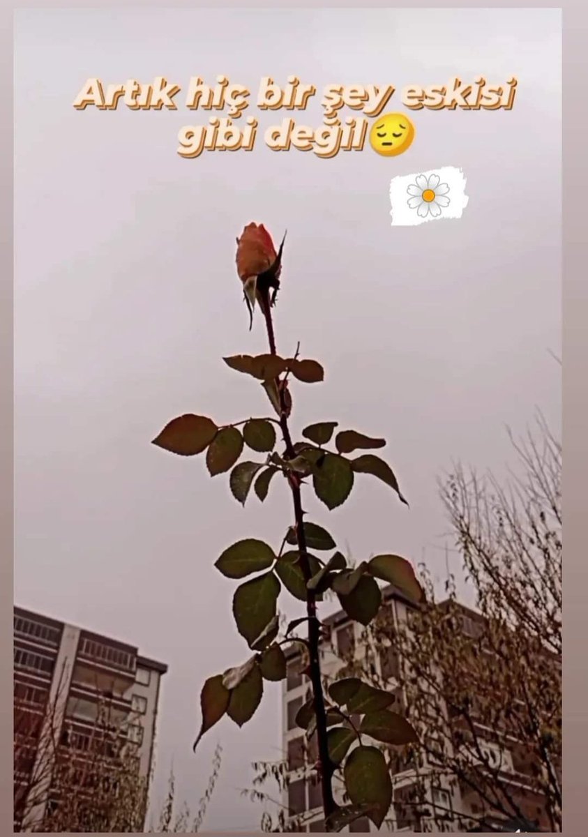 Eskisi Gibi Değiliz Gerçekten