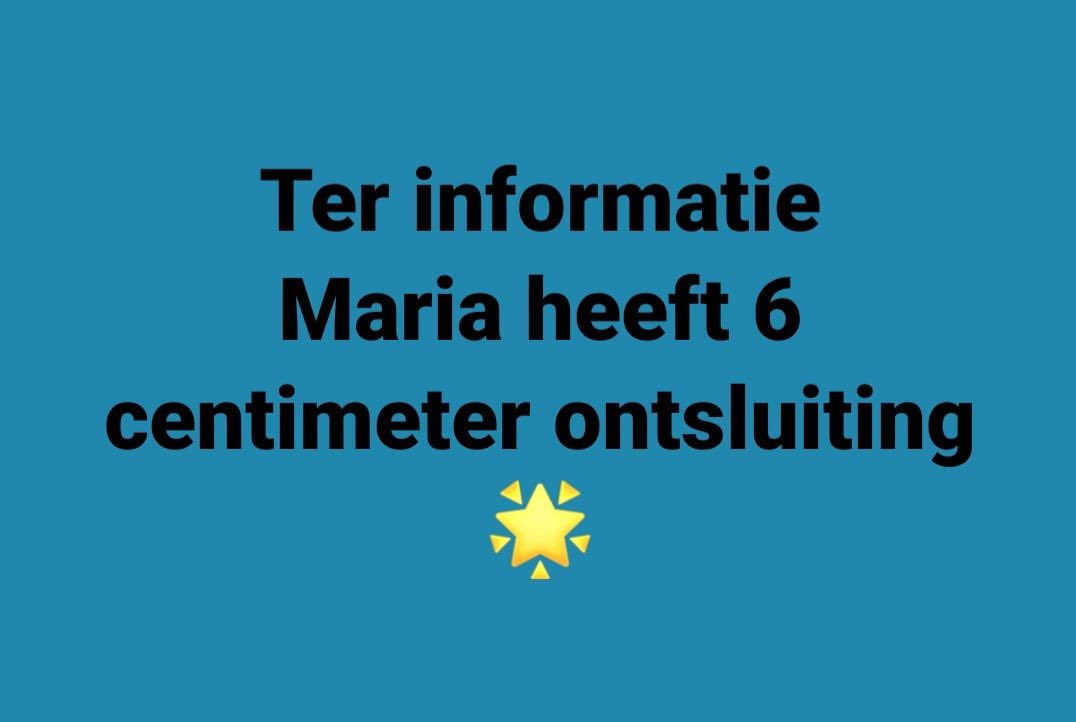 Christiaan v Bremen (@chrisvbremen) on Twitter photo 