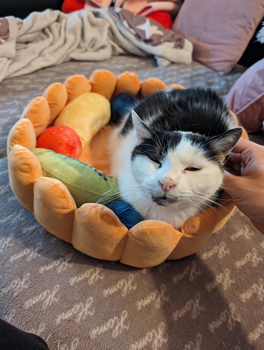 Frohe Weihnachten 🧑‍🎄