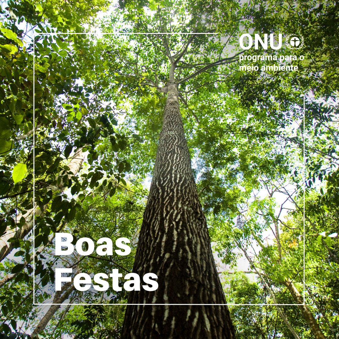 Desejamos boas festas a todos os nossos seguidores, colegas e amigos!

Agradecemos por estarem nesta jornada compartilhada conosco, para agir sobre a tripla crise planetária durante todo o ano. #PelasPessoasPeloPlaneta