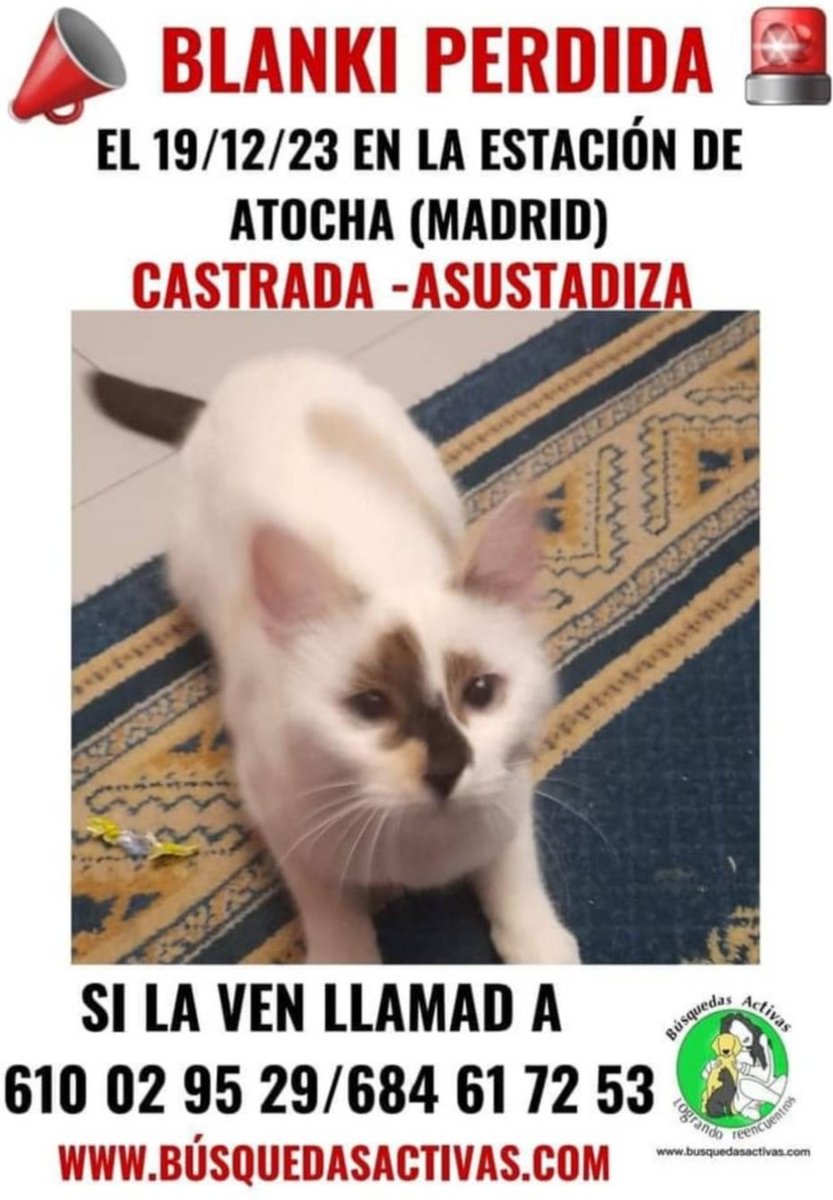 #Blanki PERDIDA en la estación de #Atocha #Madrid <a href="/transportesgob/">Ministerio Transportes y Movilidad Sostenible</a> <a href="/oscar_puente_/">Óscar Puente</a>  <a href="/Adif_es/">Adif</a> <a href="/Renfe/">Renfe</a> 🆘🆘🆘🆘🆘🆘🆘🆘🆘🆘🆘🆘