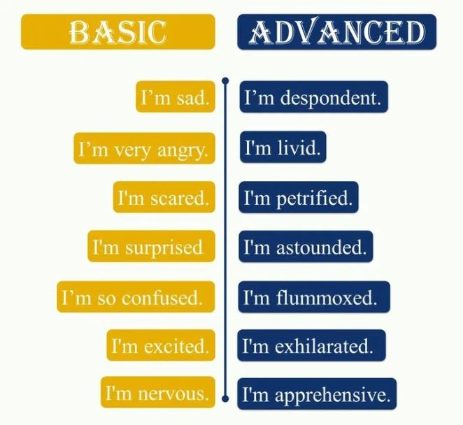 english learner club tweet media