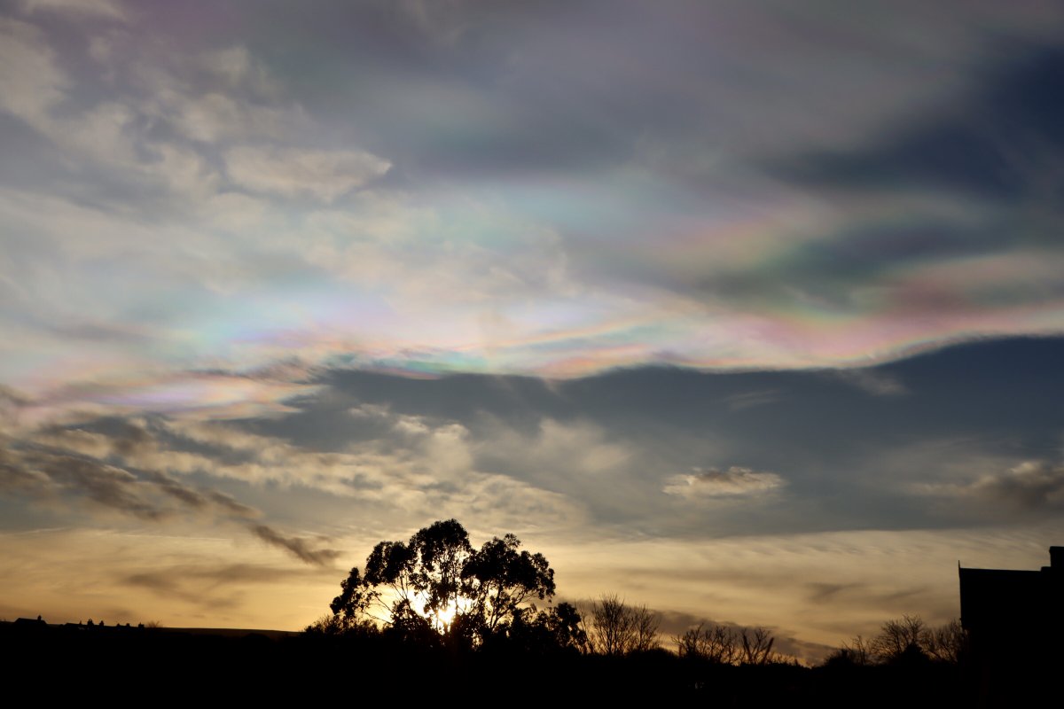 sue slater tweet media