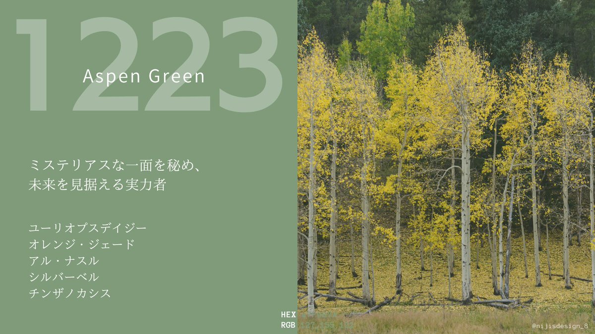 【バースデーカラー】今日ってどんな日？ 

上から
誕生花、誕生石、誕生星、誕生果、誕生酒 

素敵な一年になりますように…！