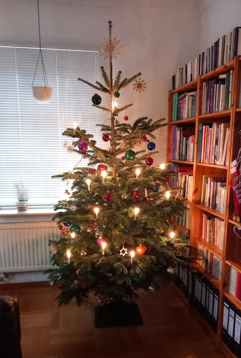 wichtel_wicht's tweet image. #Twittermagic! Ihr Lieben, @Ladyyuna22 vermisst, wie ich gehört habe, einen Weihnachtsbaum! 
Können wir hier eine Sammlung für sie zusammenstellen? 
Ich fange an: