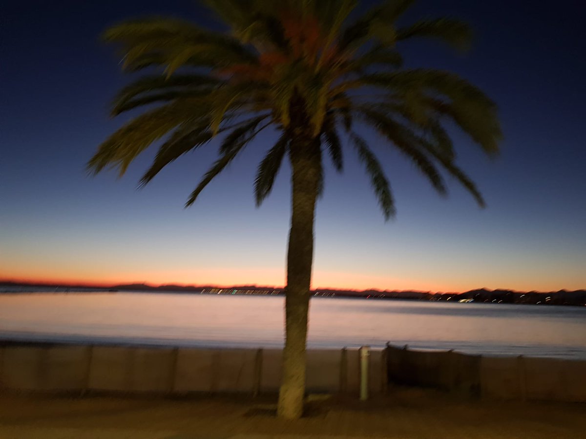 Not a turkey or sprout in sight. All the best. Enjoy Xmas Day. Xx