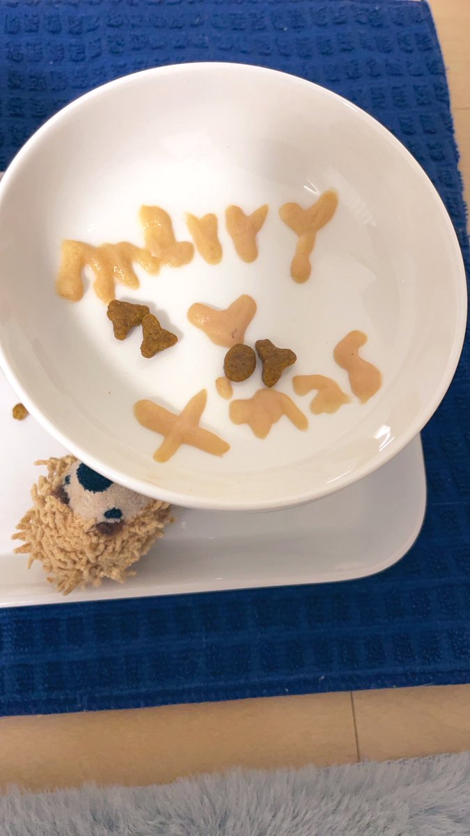 ✨🌲merry Xmas 🌲✨

警戒心強すぎて、いつも食べているフード以外は食べない子
そのまま残ってるー笑笑