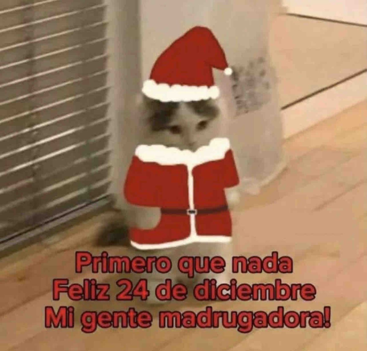 Guarromantico_'s tweet photo. https://t.co/tZCYGcqprv