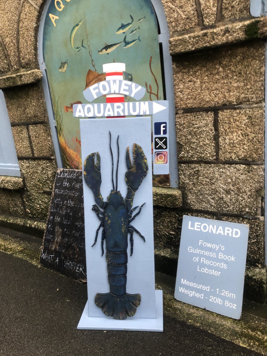 Thanks to Pip for doing such a good job on Leonard complete with Gribben day mark!

Opened today and will open again for the holidays after Christmas.

Happy Christmas all!